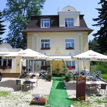 Villa Meteor Mariánské Lázně Екстериор снимка